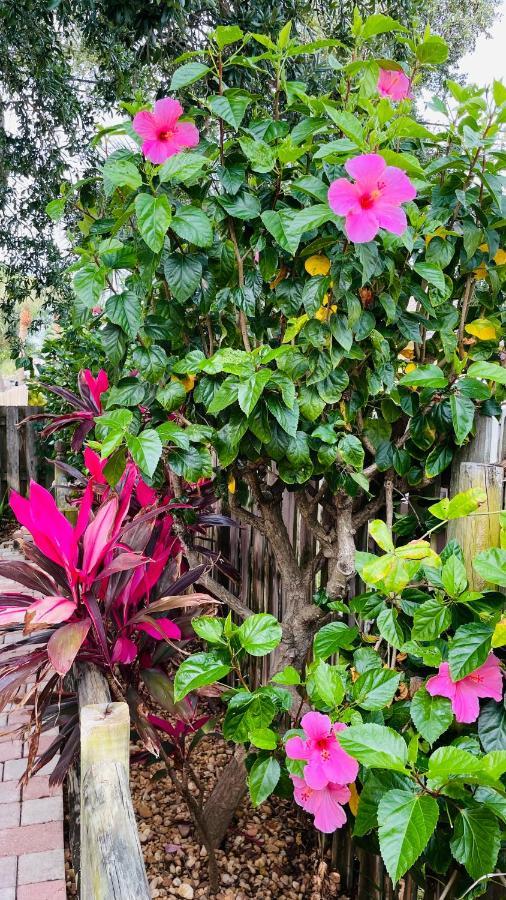 Casa Flamingo Villa Cape Canaveral Bagian luar foto
